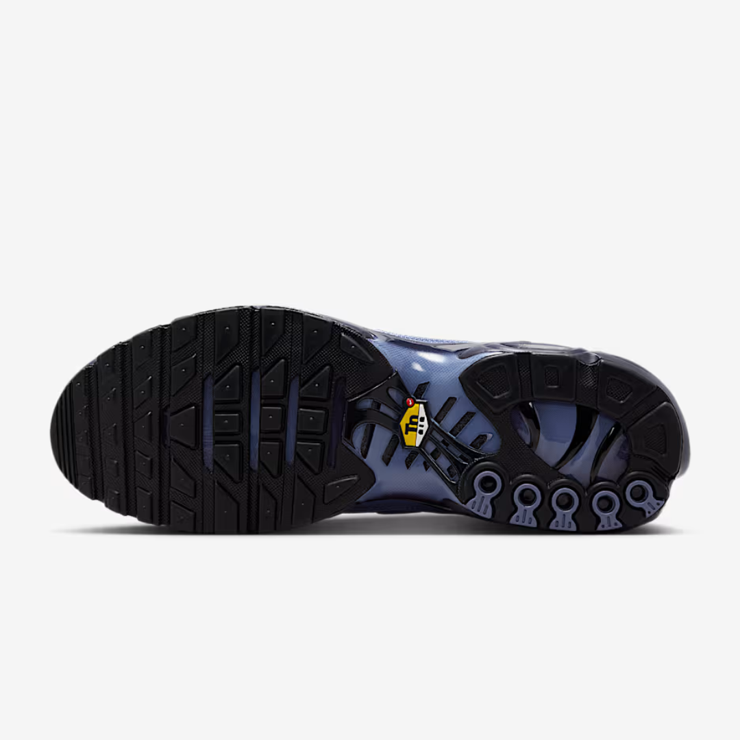 NK AIR MAX PLUS TN WORLD INDIGO