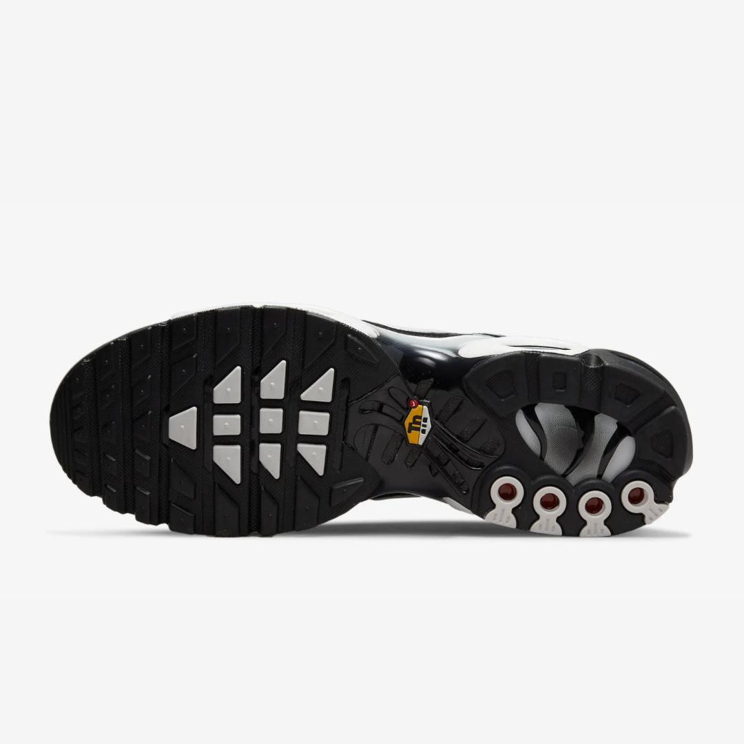NK AIR MAX PLUS TN SMOKES