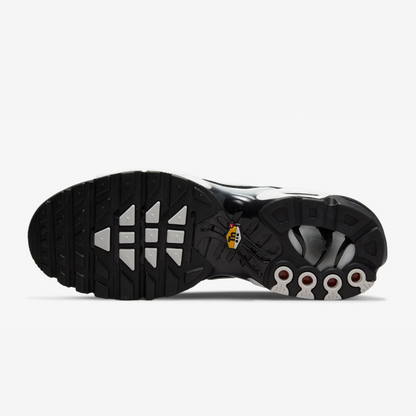 NK AIR MAX PLUS TN SMOKES